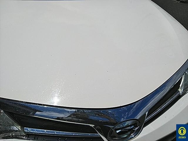073500033P6